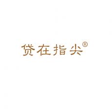 贷在指尖