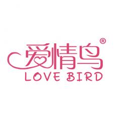 爱情鸟  LOVE BIRD