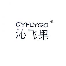 沁飞果 CYFLYGO