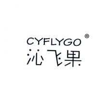 沁飞果 CYFLYGO