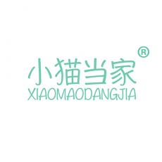 小猫当家