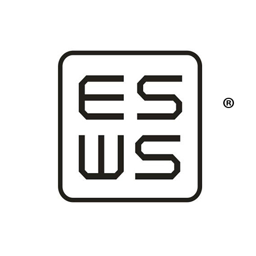 ES WS