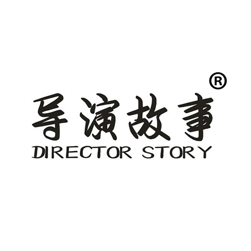 导演故事 DIRECTOR STORY