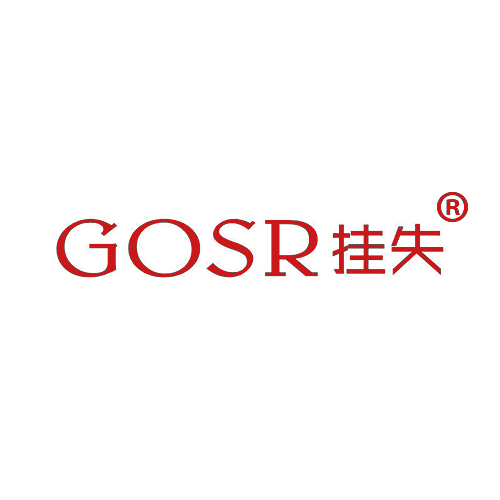 挂失 GOSR