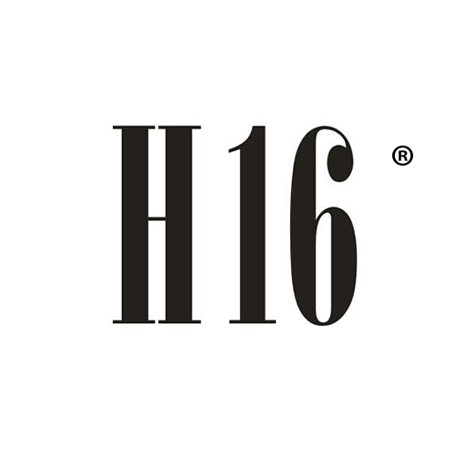 H 16