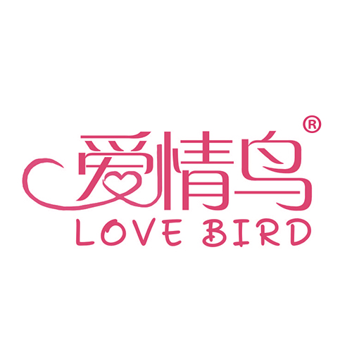 爱情鸟  LOVE BIRD