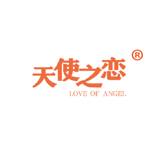 天使之恋 LOVE OF ANGEL