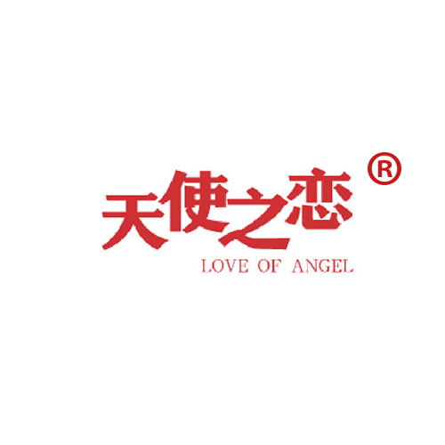 天使之恋 LOVE OF ANGEL