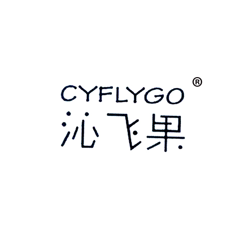 沁飞果 CYFLYGO