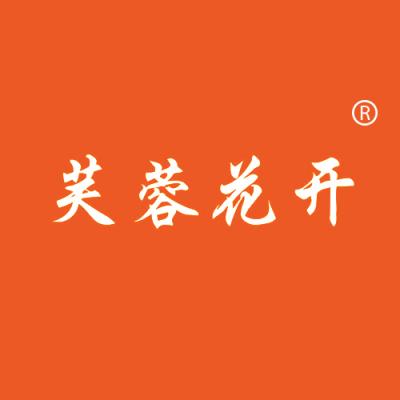 芙蓉花开