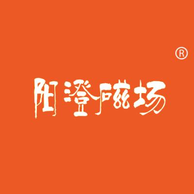 阳澄磁场