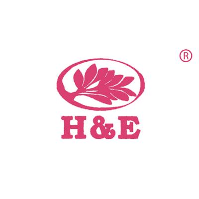 H&E