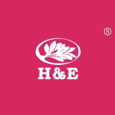 H&E