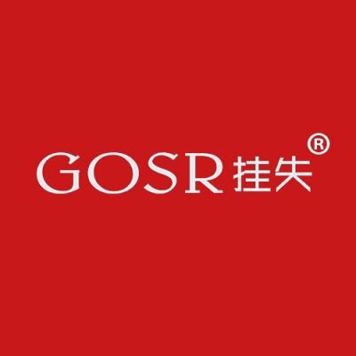 挂失 GOSR