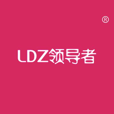 领导者