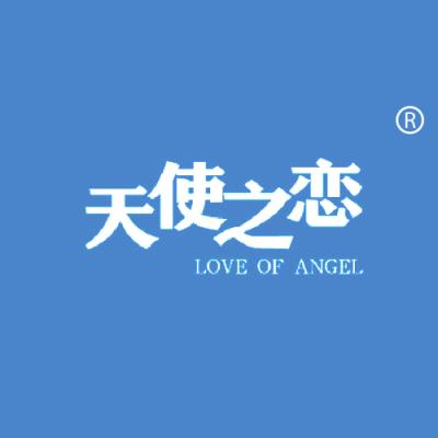天使之恋 LOVE OF ANGEL