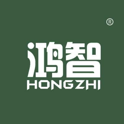 鸿智