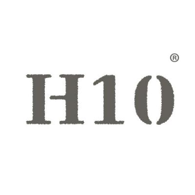H 10