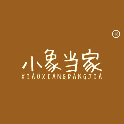 小象当家
