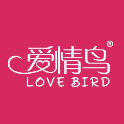 爱情鸟  LOVE BIRD