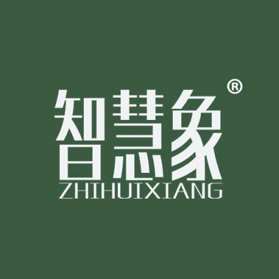 智慧象