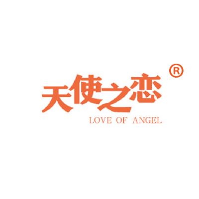 天使之恋 LOVE OF ANGEL