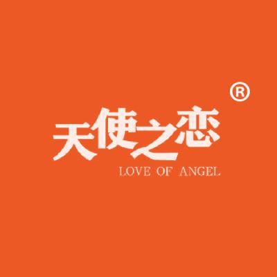 天使之恋 LOVE OF ANGEL