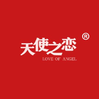 天使之恋 LOVE OF ANGEL
