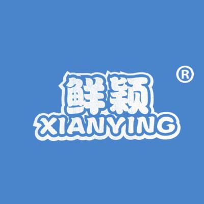 鲜颖