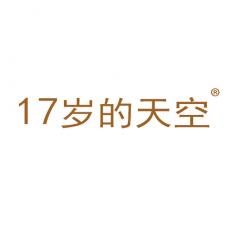17 岁的天空