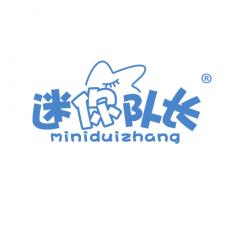 迷你队长