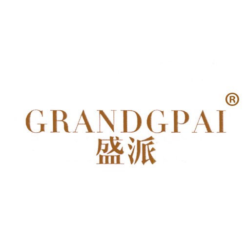 盛派 GRANDGPAI