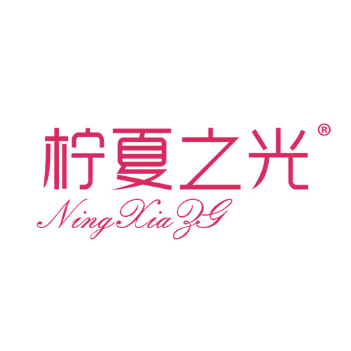 柠夏之光 NINGXIA ZG