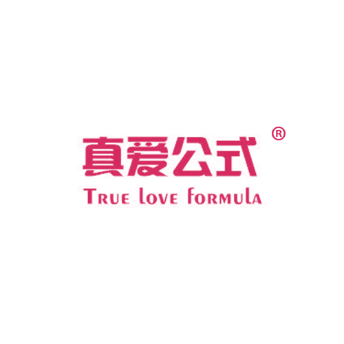 真爱公式 TRUE LOVE FORMULA