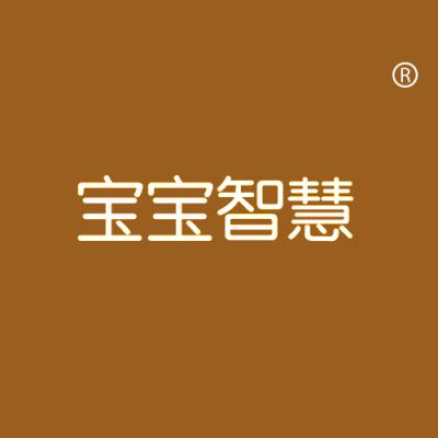 宝宝智慧