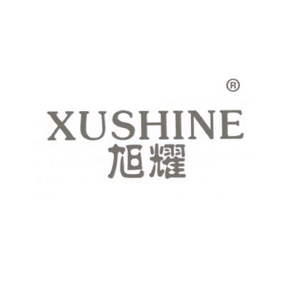 旭耀 XUSH...