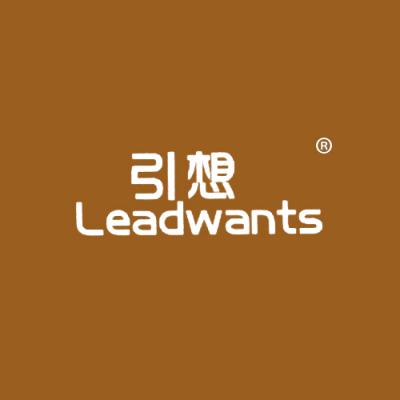 引想 LEADWANTS