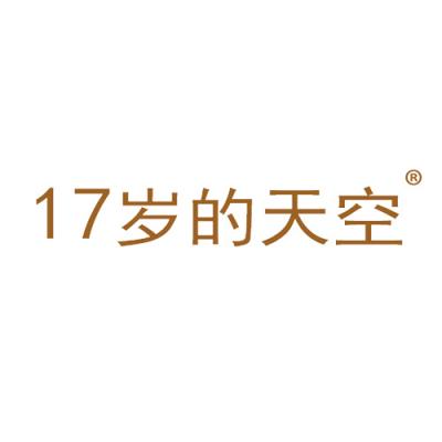 17 岁的天空