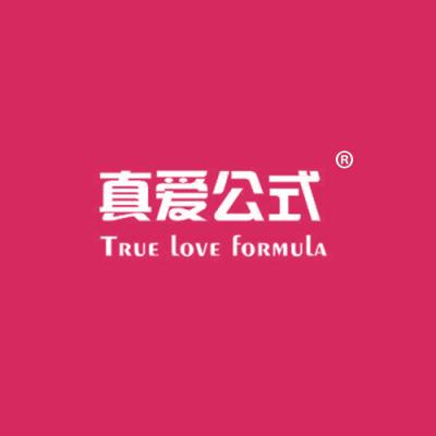 真爱公式 TRUE LOVE FORMULA