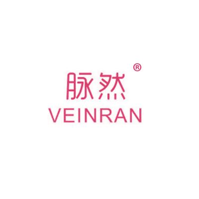 脉然 VEIN...