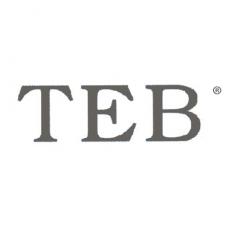 TEB