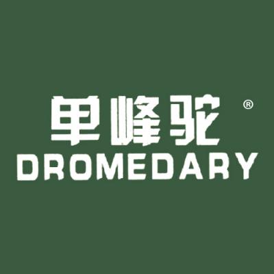 单峰驼 DROMEDARY