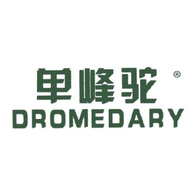 单峰驼 DROMEDARY