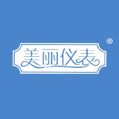 美丽仪表