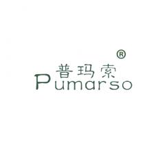 普玛索 PUMARSO