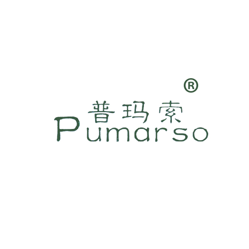 普玛索 PUMARSO