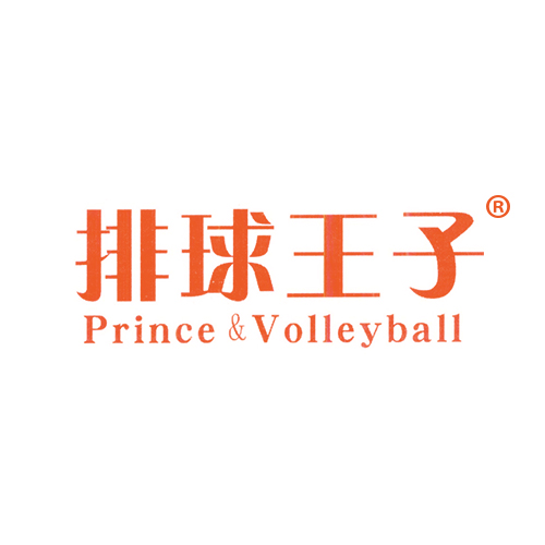 排球王子 PRINCE & VOLLEYBALL