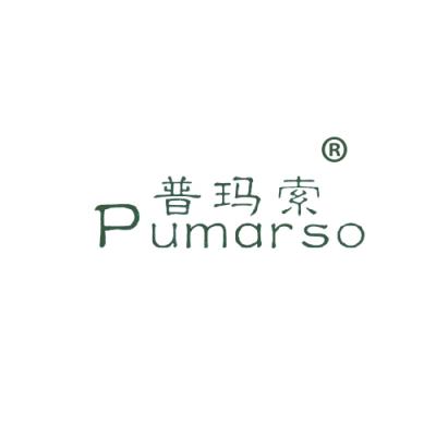 普玛索 PUM...