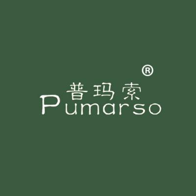 普玛索 PUMARSO