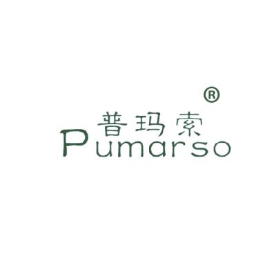 普玛索 PUMARSO